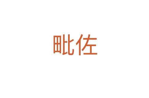 毗佐