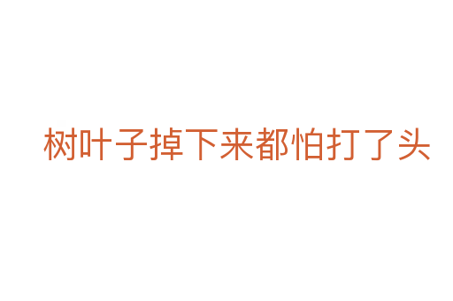 树叶子掉下来都怕打了头
