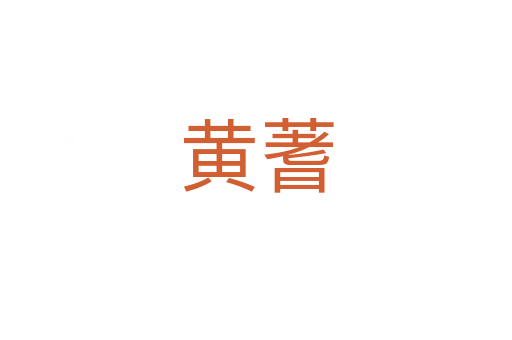 黄蓍