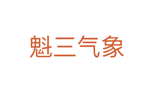 魁三气象