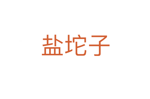 盐坨子