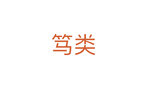 笃类