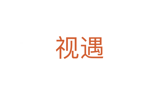 视遇