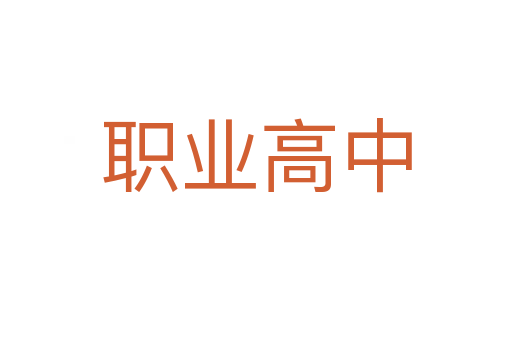 职业高中