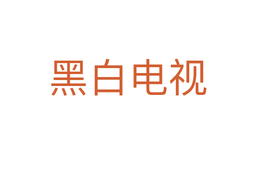黑白电视