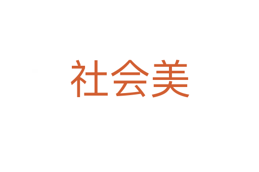社会美