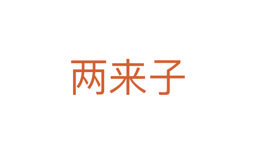 两来子