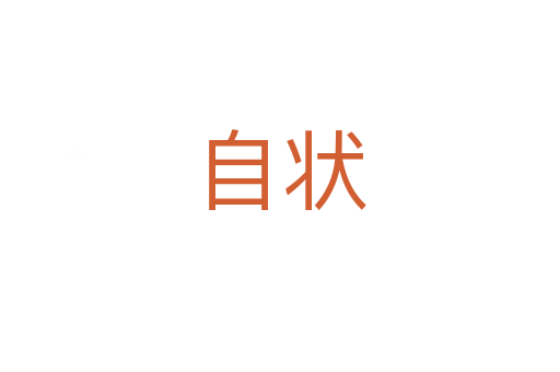 自状