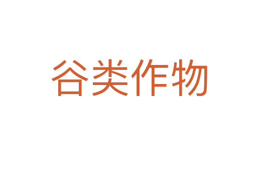 谷类作物