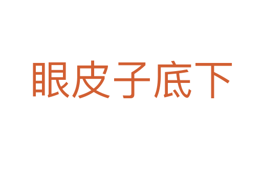 眼皮子底下