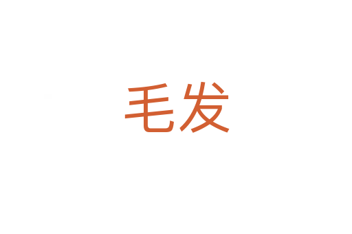 毛发