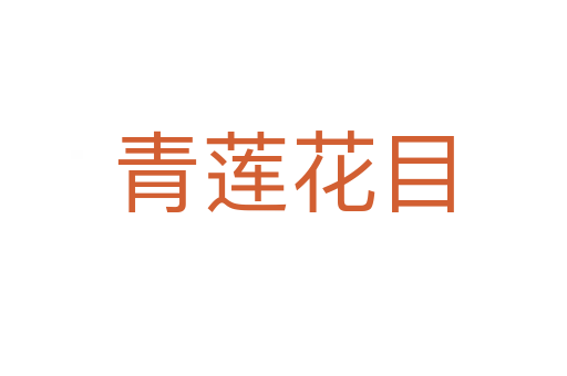 青莲花目