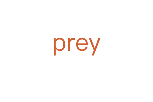 prey