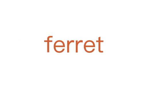 ferret