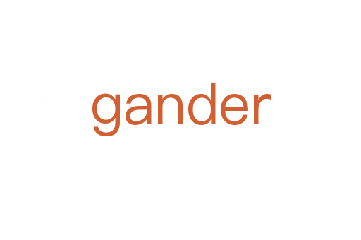 gander