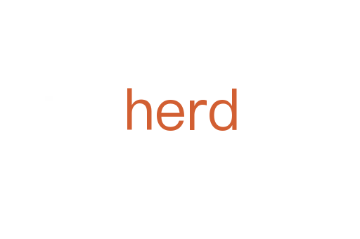 herd