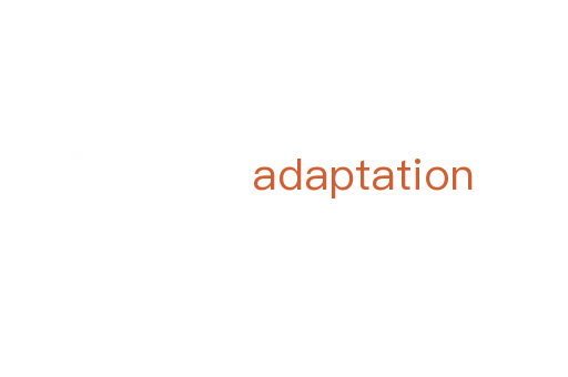 adaptation