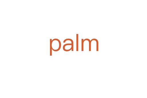 palm