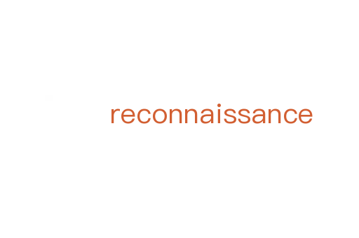 reconnaissance