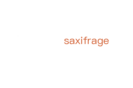 saxifrage