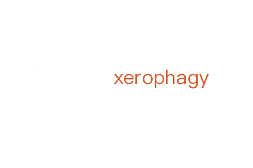 xerophagy