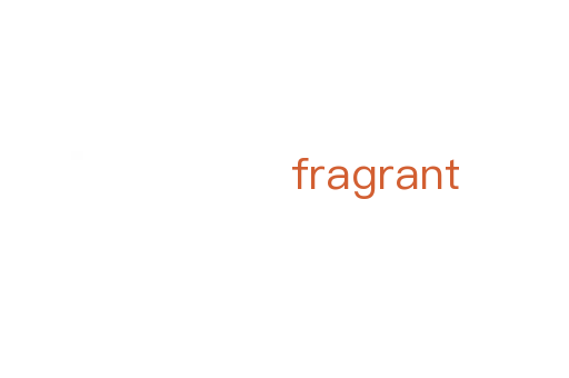 fragrant