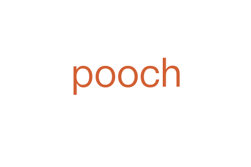 pooch
