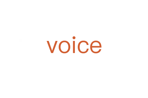 voice