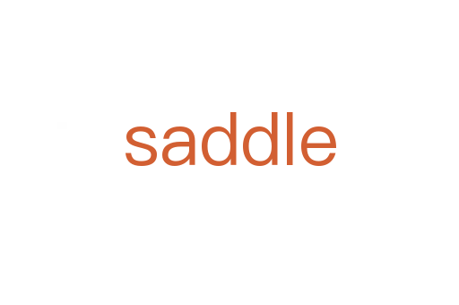 saddle