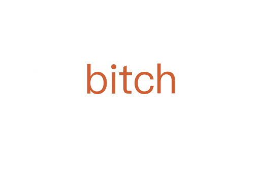 bitch