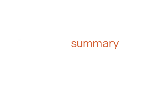 summary