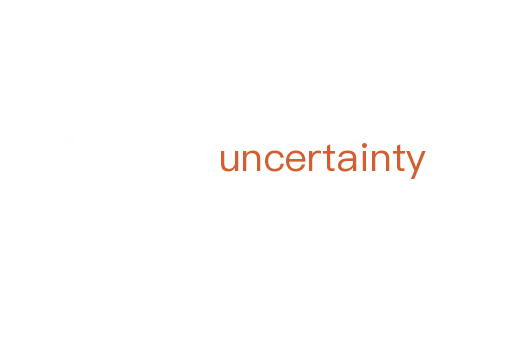 uncertainty