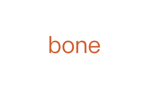 bone