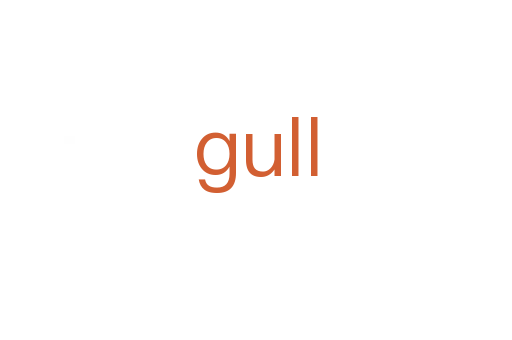 gull