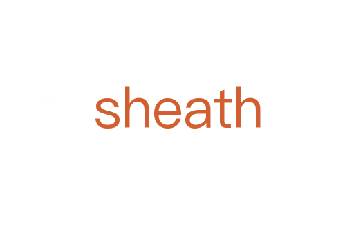 sheath