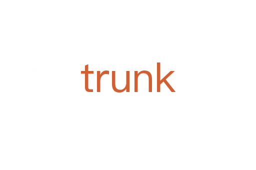 trunk
