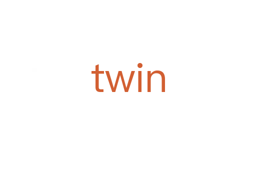 twin