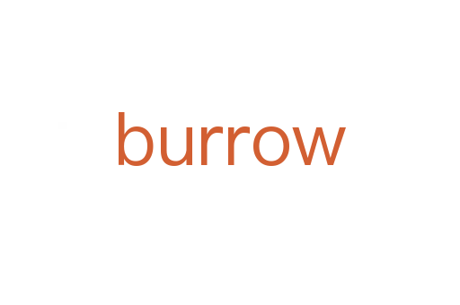burrow